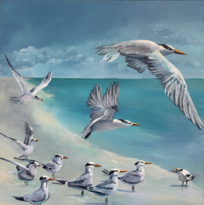 article image - A Highness of Royal Terns Suzan Lanz (1)